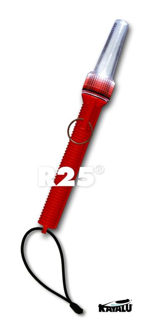 Hovedbilde Kayalu stavlykt