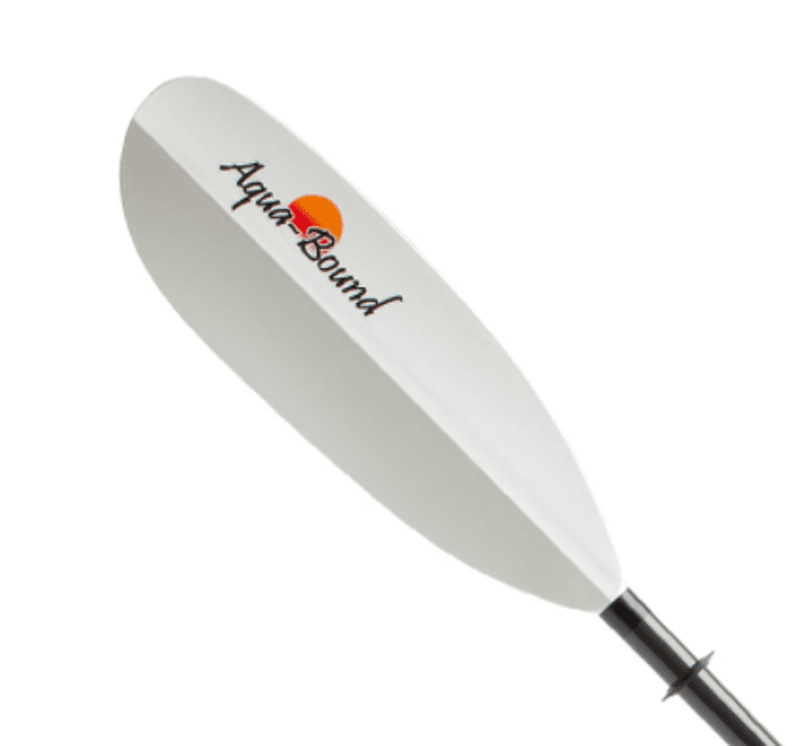 Aqua-Bound Eagle Ray